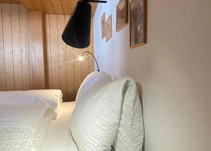 Διαμέρισμα Bergquelle 1.og Bettmeralp